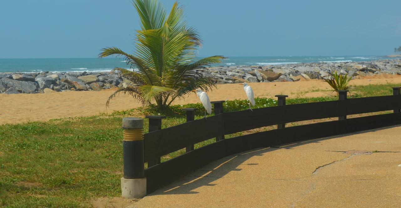 Elmina Bay Resort Extérieur photo